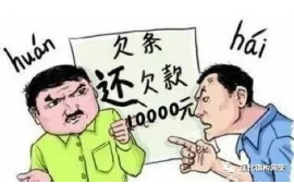 楚雄企业清欠服务